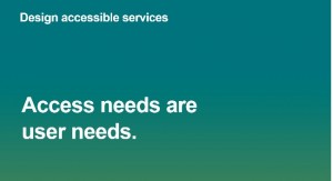access needs user needs
